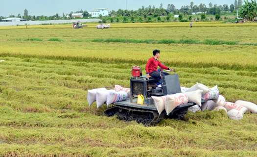 Năm 2023, dự báo xuất khẩu khoảng 8 triệu tấn gạo với kim ngạch khoảng 4,5 tỷ USD